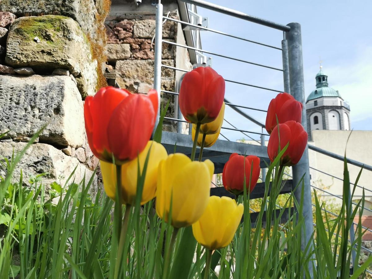 Fynbos Studio Dg In Der Altstadt, Frauenkirchenblick, Parkplatz Meissen Luaran gambar
