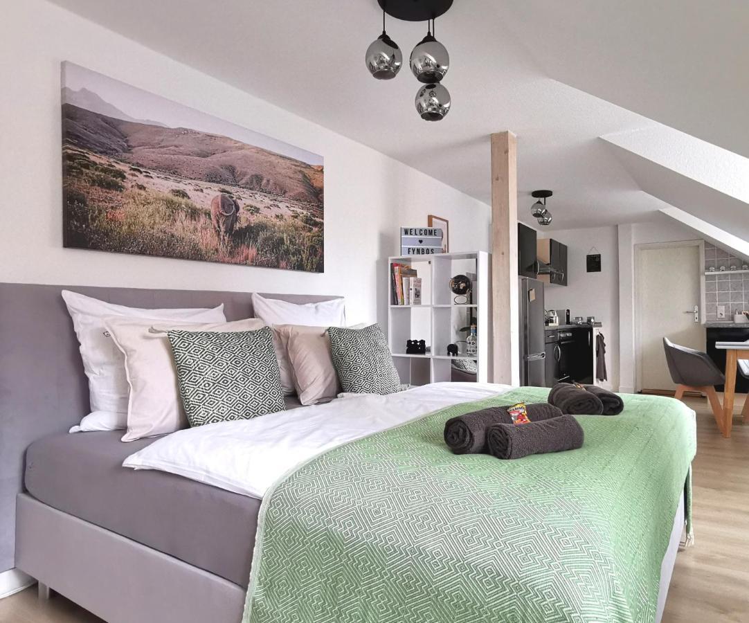 Fynbos Studio Dg In Der Altstadt, Frauenkirchenblick, Parkplatz Meissen Luaran gambar